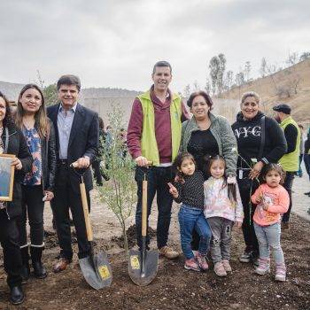 Bosque-de-la-Memoria-Renca-03