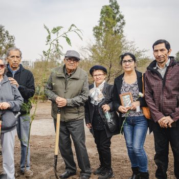 Bosque-de-la-Memoria-Renca-04